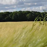 Koebenhovedskov