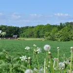 Koebenhovedskov Oda ve Kahvaltı Rødding