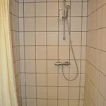 Koebenhovedskov 3*