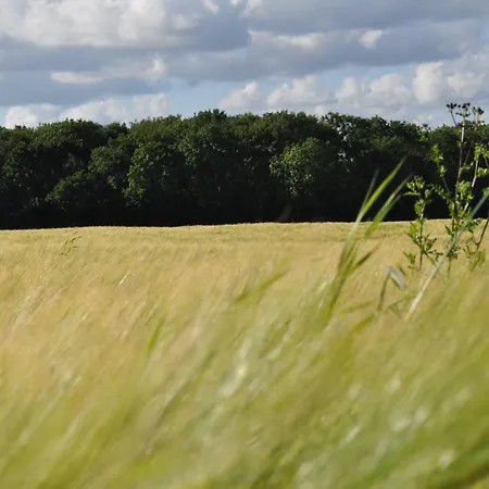 Koebenhovedskov Bed & Breakfast