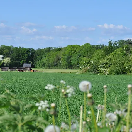 Koebenhovedskov Bed & Breakfast Rødding