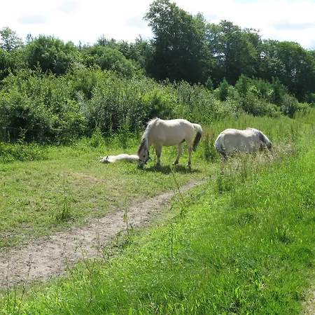 Koebenhovedskov